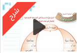 11- الوظيفة النحوية المبتدأ والخبر