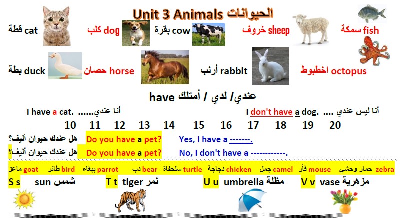 ملخص مادة الإنجليزي رابع ابتدائي الفصل الثالث ف3