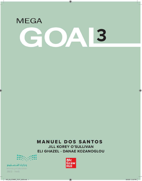 MegaGoal 3