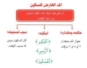 ملخص التجويد سادس ابتدائي ف2 صفحة تعرض ملخص الكتاب بصيغة قابلة للطباعة والتحميل والعرض المباشر PDF على موقع دوافير التعليمي