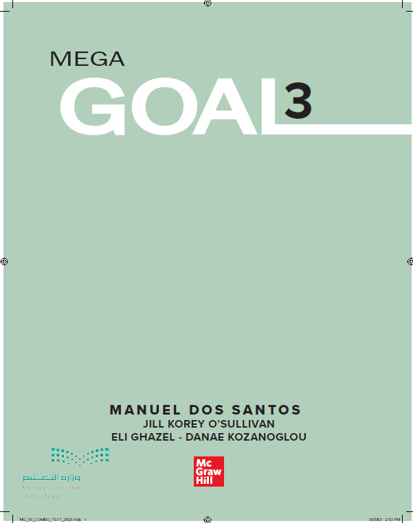 Mega Goal 3