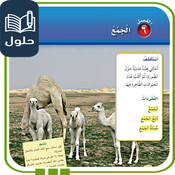 حل الوحدة السادسة الجمع رياضيات أول ابتدائي الفصل الأول